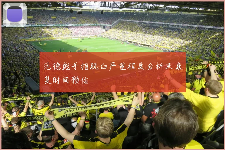 范德彪手指脱臼严重程度分析及康复时间预估
