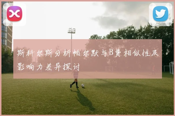 斯科尔斯分析帕尔默与B费相似性及影响力差异探讨