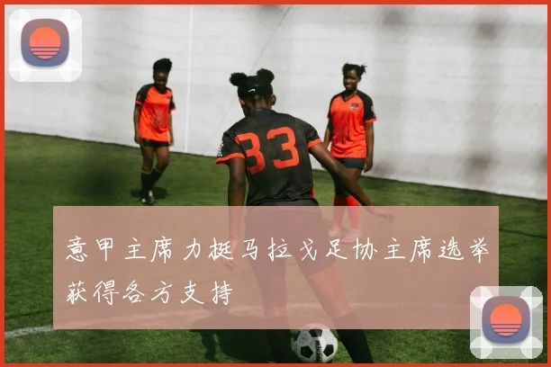 意甲主席力挺马拉戈足协主席选举获得各方支持